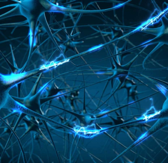 ¿Cómo se diagnostica?