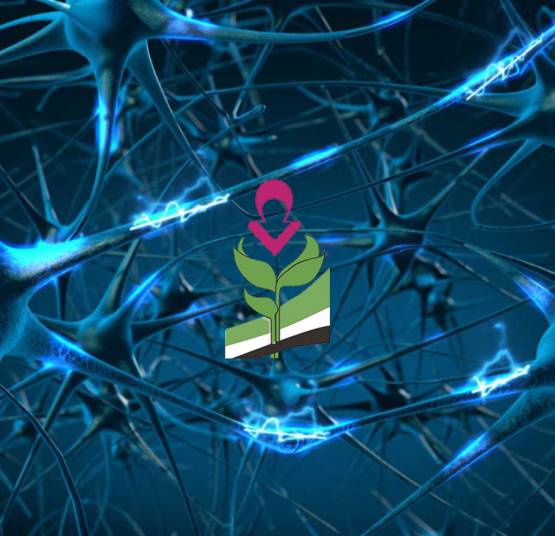 ¿Que provoca la enfermedad de huntington?